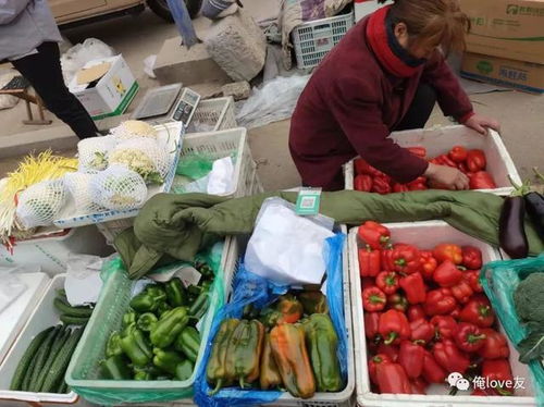 趕黃河大集，尋濟南年味——萊蕪魯西大集值得一逛